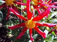 photos 2000-200902738
